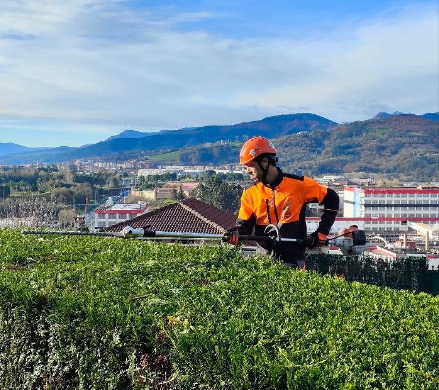 Corte y perfilado de setos