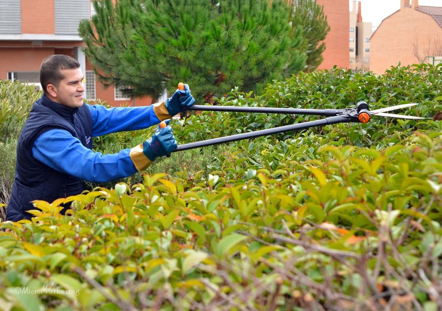 jardinería