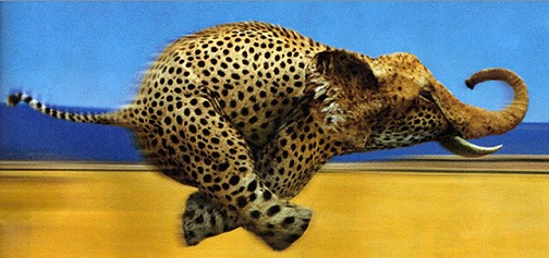 La Velocidad del Guepardo y la Robustez del Elefante, Juntos