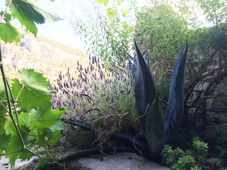 LeAatelier_Paisajismo casa campo-plantas entrada