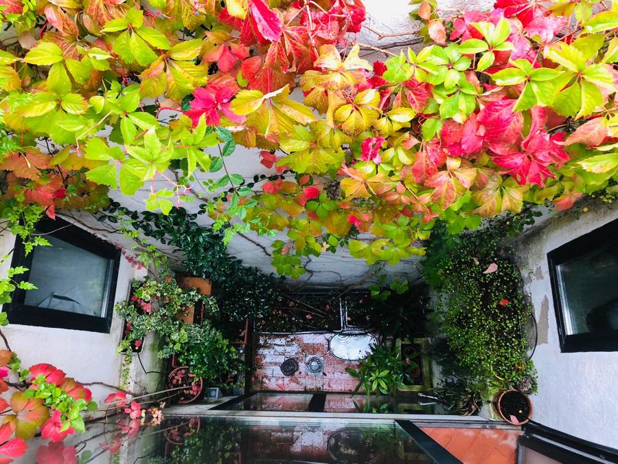 LeAatelier_Paisajismo casa campo-patio en otoño Parra Virgen