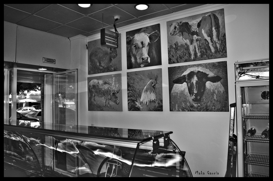 Licencia de apertura de carnicería 