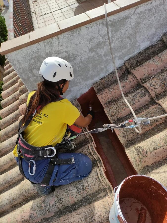 LIMPIEZA Y MANTENIMIENTO DE CANALONES