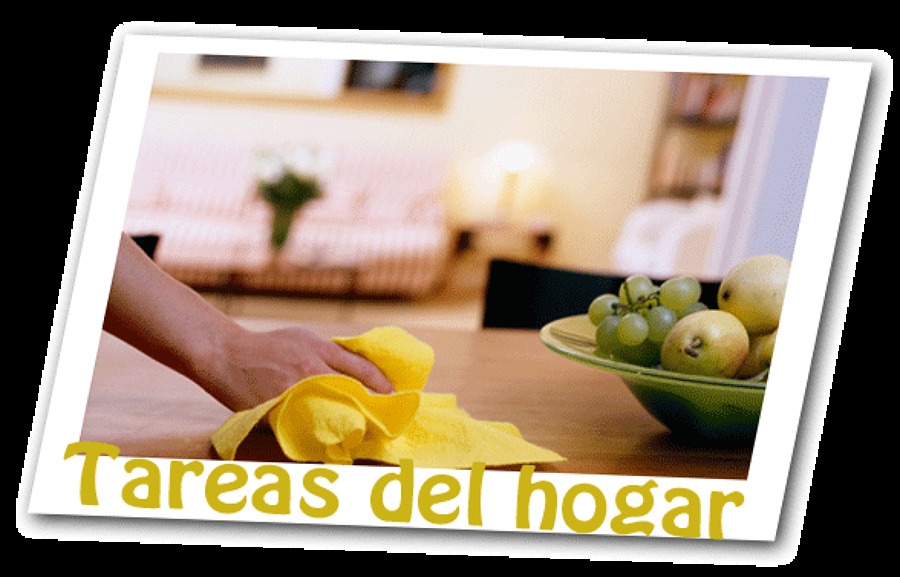 Limpieza de Hogar