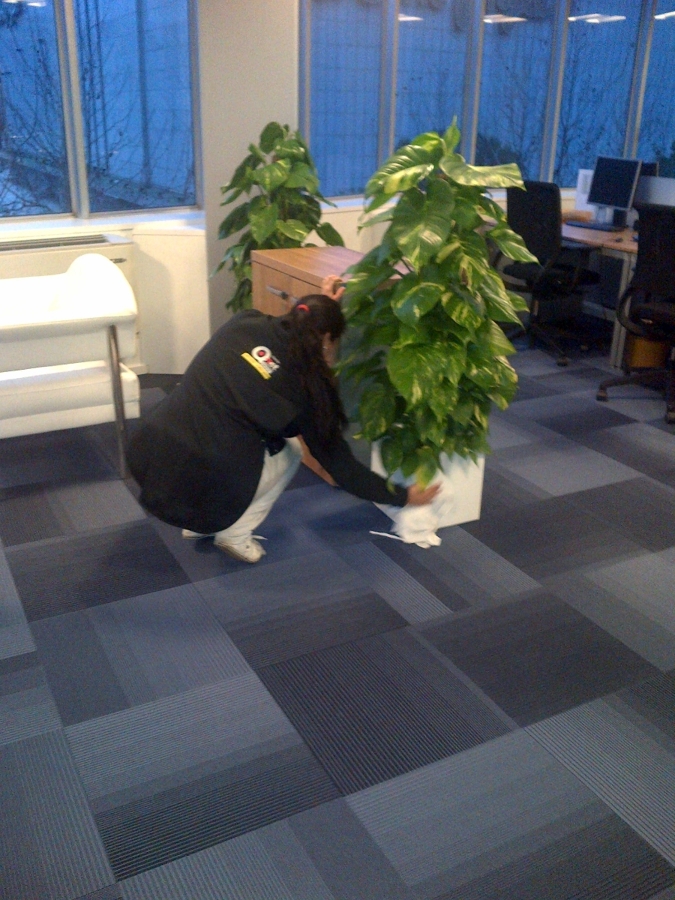 Limpieza de oficinas