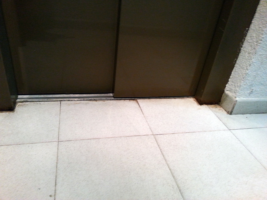 LIMPIEZA DE SUELOS 2