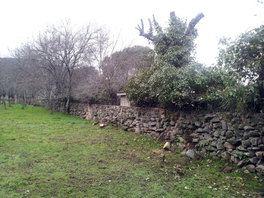 limpieza de terrenos