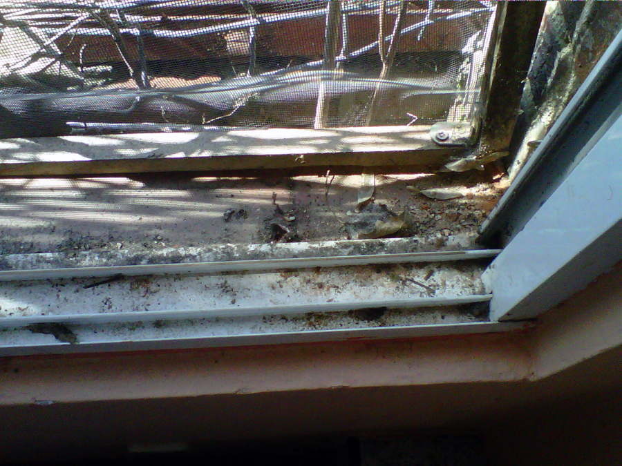 Limpieza de ventanas