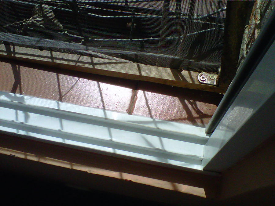 Limpieza de ventanas