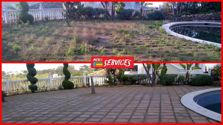 Limpieza puntual de jardin