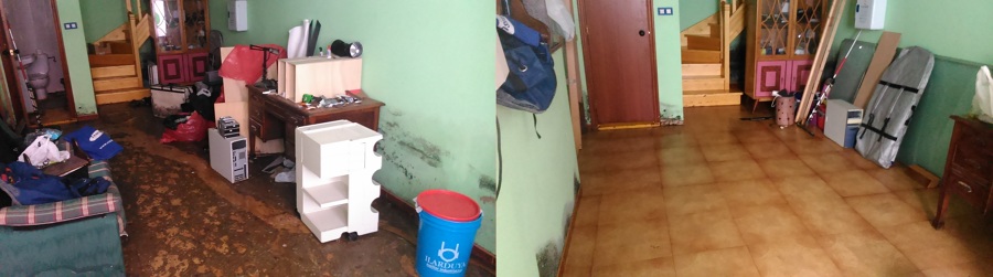 Limpieza de aguas fecales