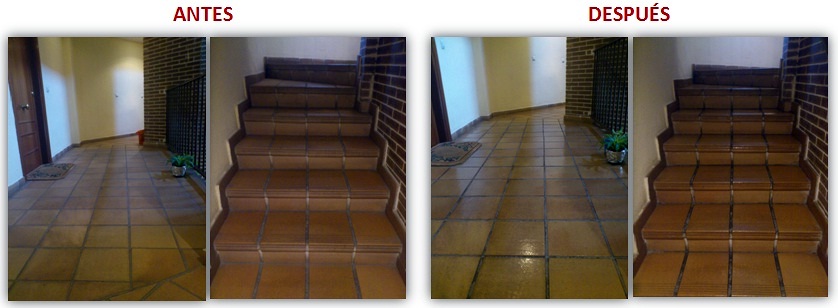 Limpieza y abrillantamiento.