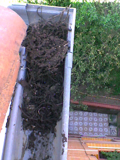 Limpieza y mantenimiento de canales y bajantes