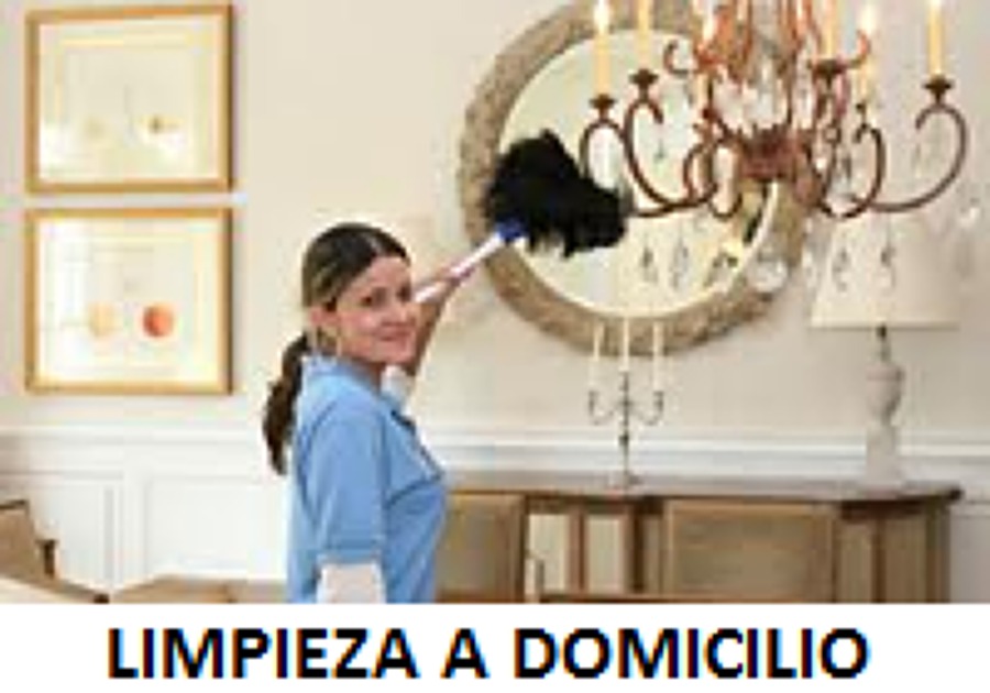 Limpiezas para Domicilios