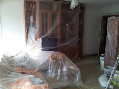 limpios y profecionales