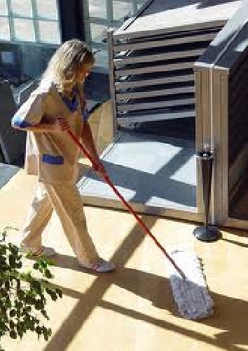 Limytec sección de limpiezas