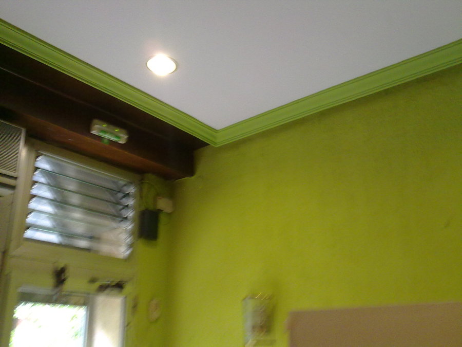 LOCAL EN COLORES VERDES