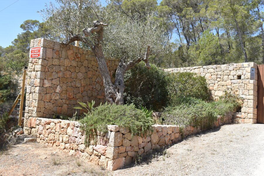 Jardinera de entrada