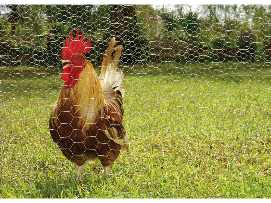 Malla hexagonal o gallinera o conejera
