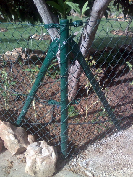 malla simple torsion verde