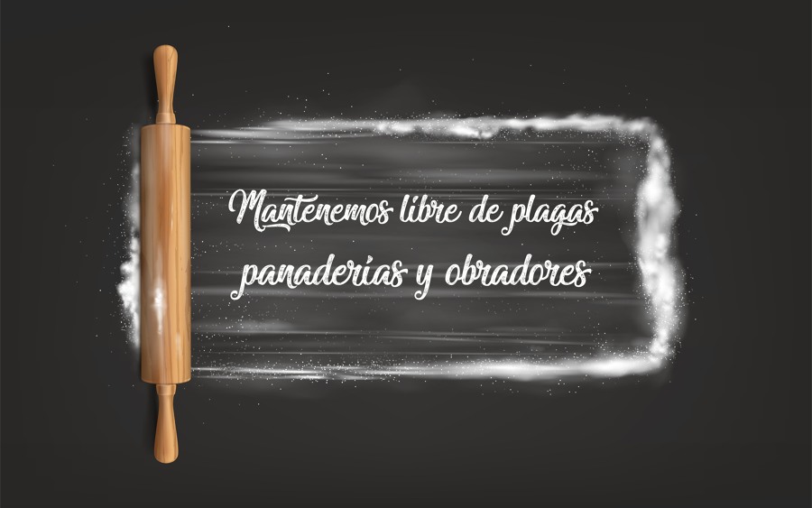 Mantenemos las panaderías y obradores libres de plagas
