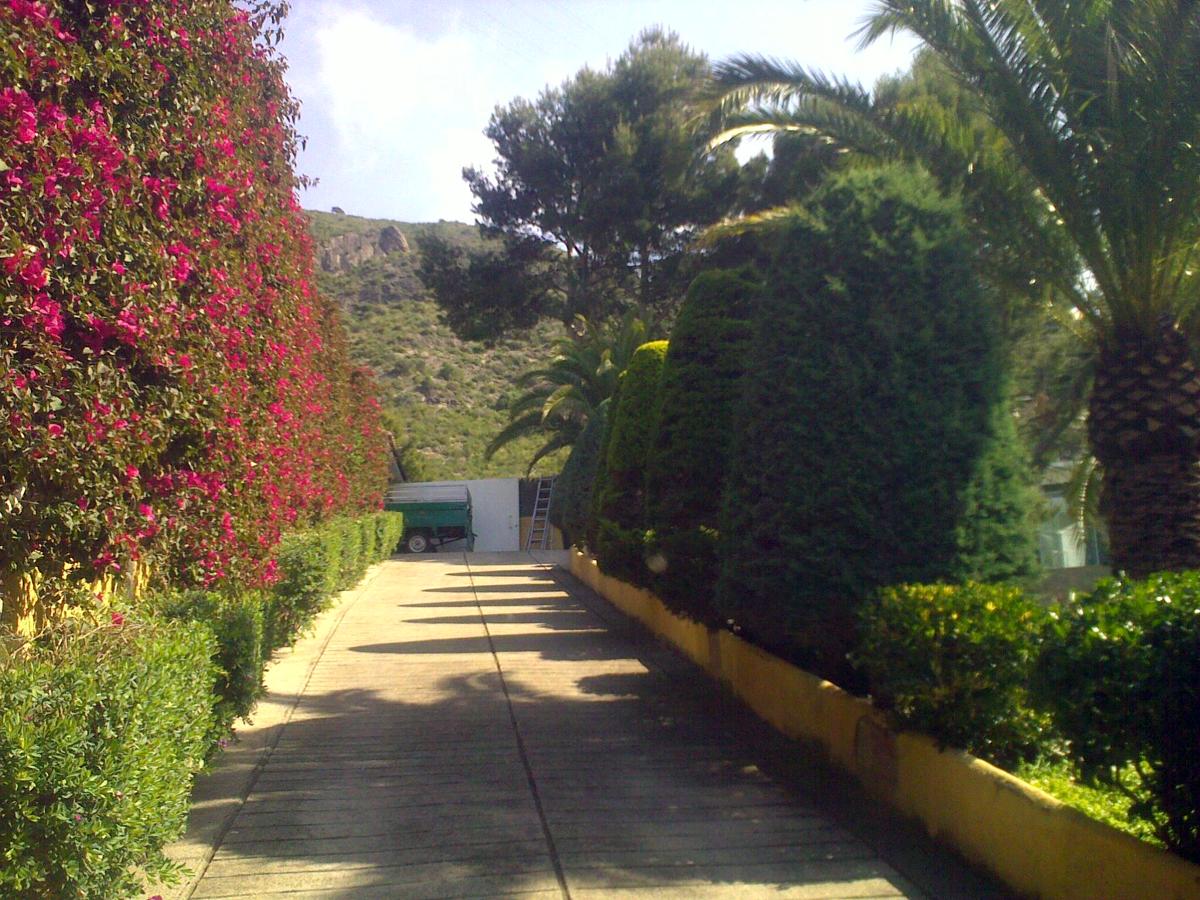 MANTENIMENT DE JARDINS