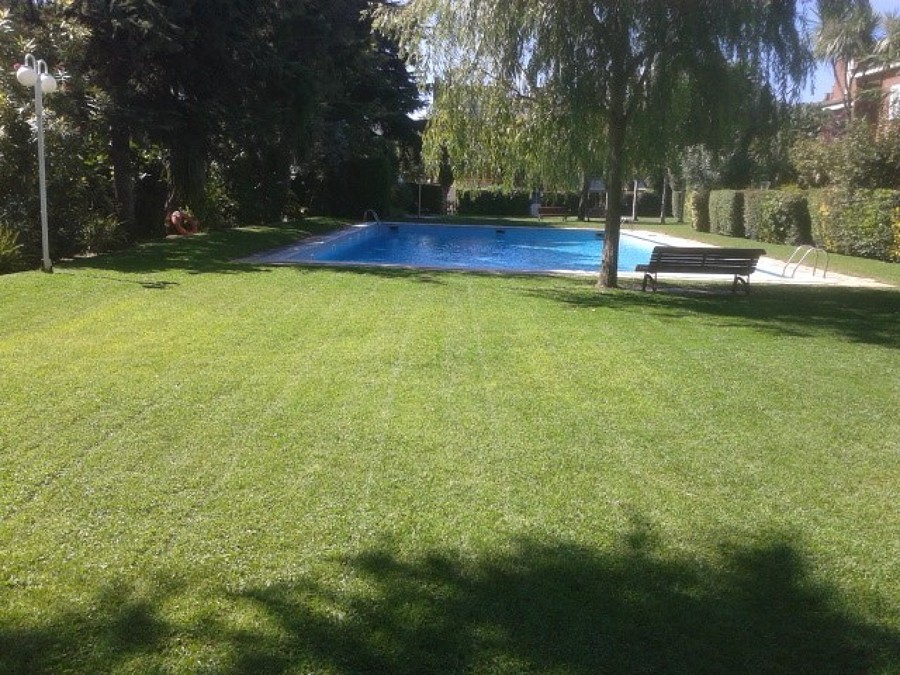 Mantenimiento césped