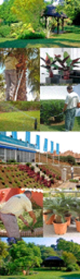 Mantenimiento de Jardinería Integral para comunidades y particulares