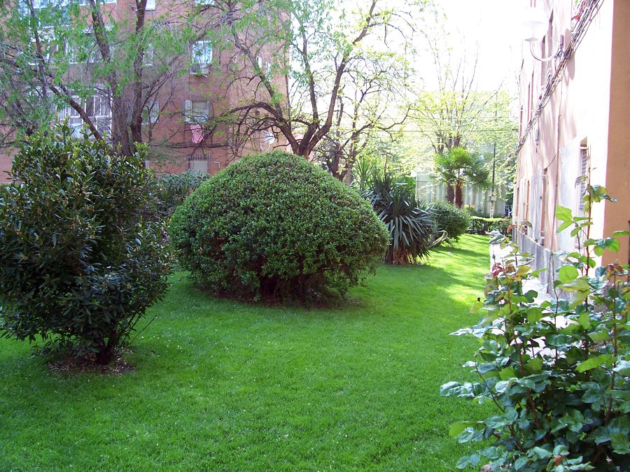 MANTENIMIENTO DE JARDINES COMUNIDADES