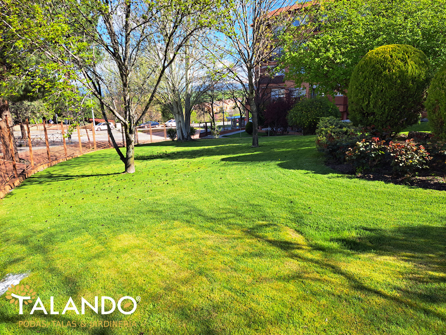 Mantenimiento de jardines madrid