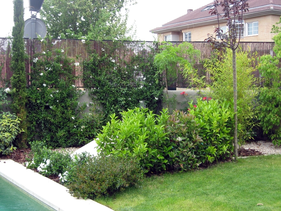 mantenimiento de jardines