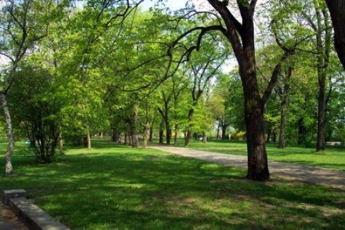 Mantenimiento de jardines 