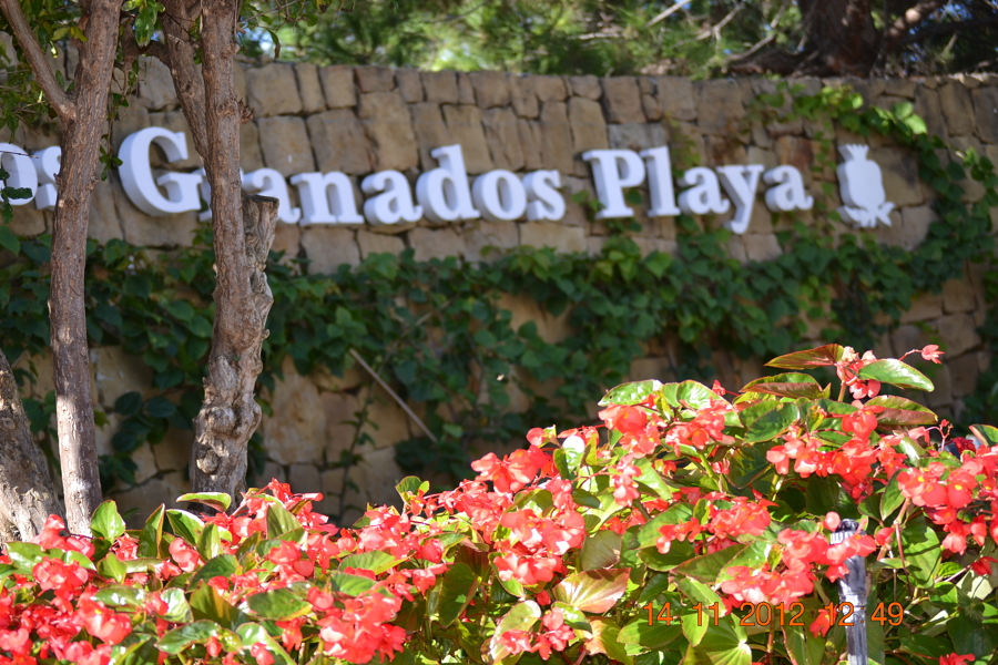 Mantenimiento de jardines