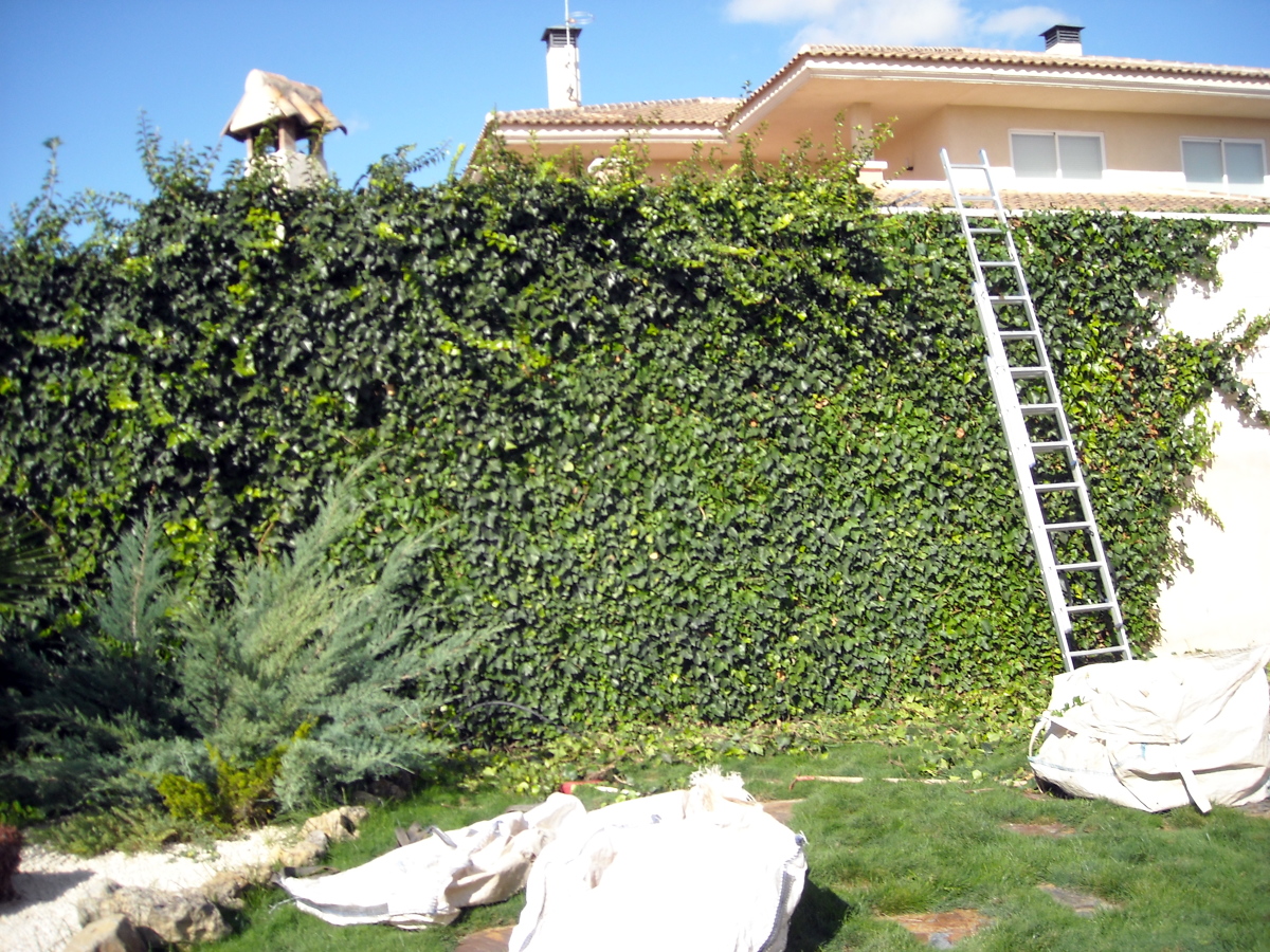 mantenimiento jardin