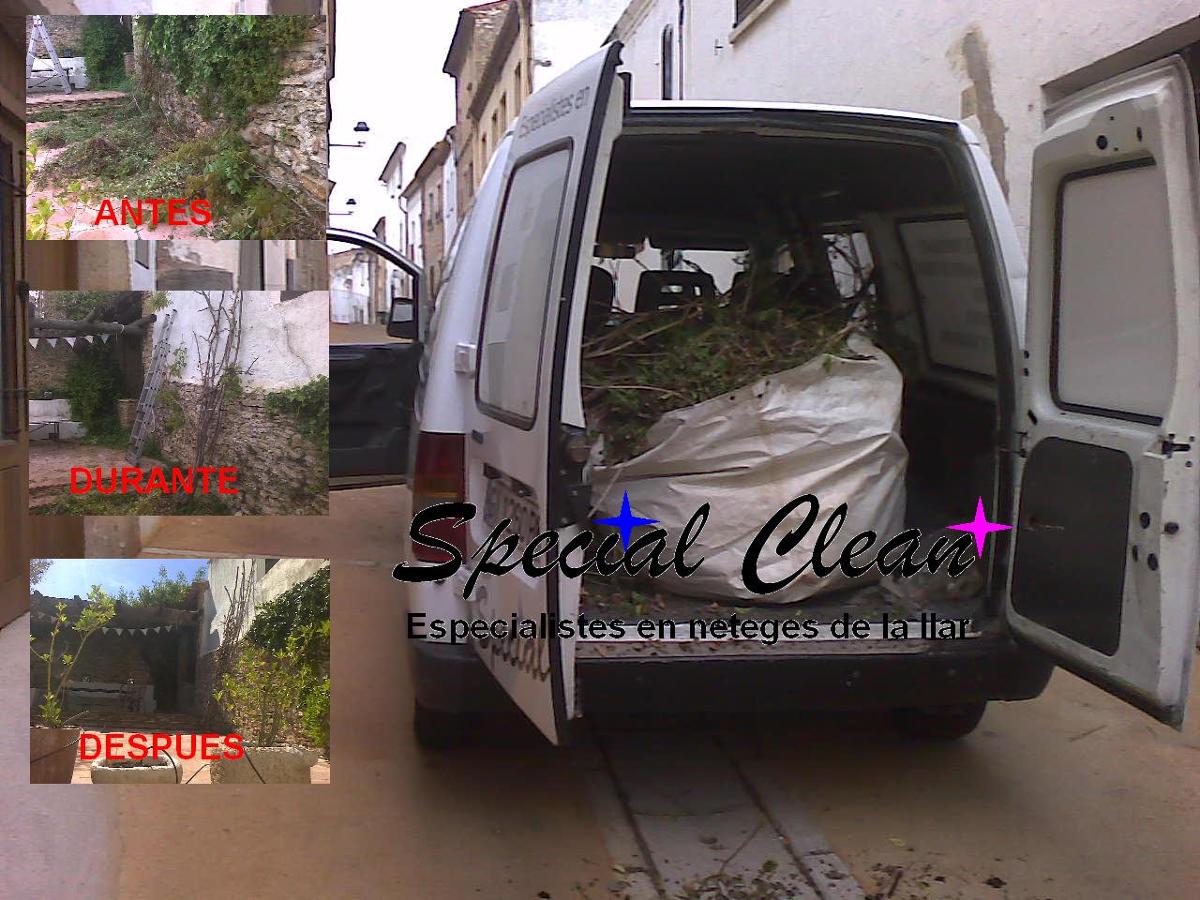 Mantenimientos de jardines.