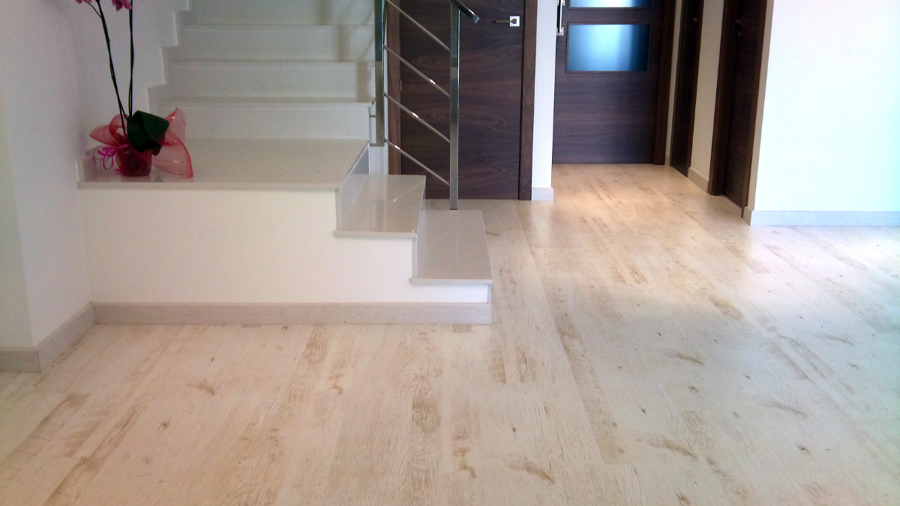 Marca al Mejor Precio