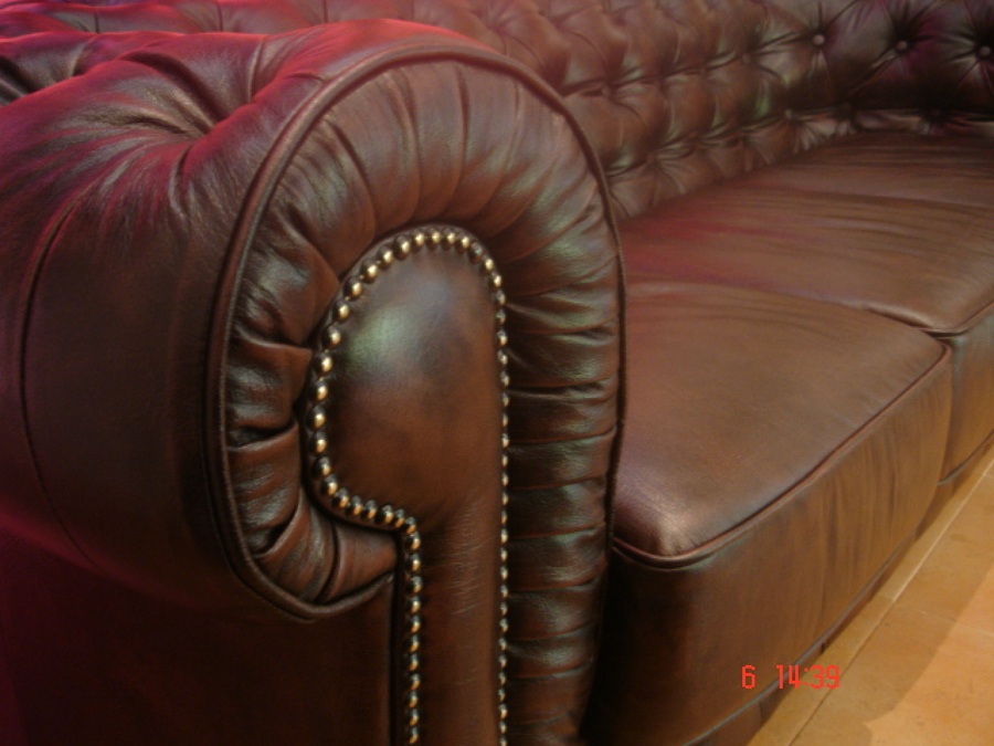 Limpieza CUERO LEON especializada a domicilio     