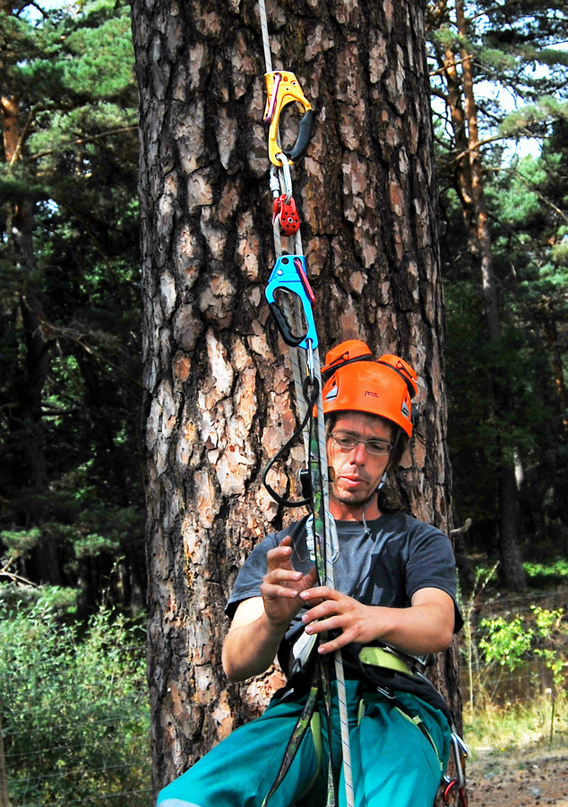 Material homologado.