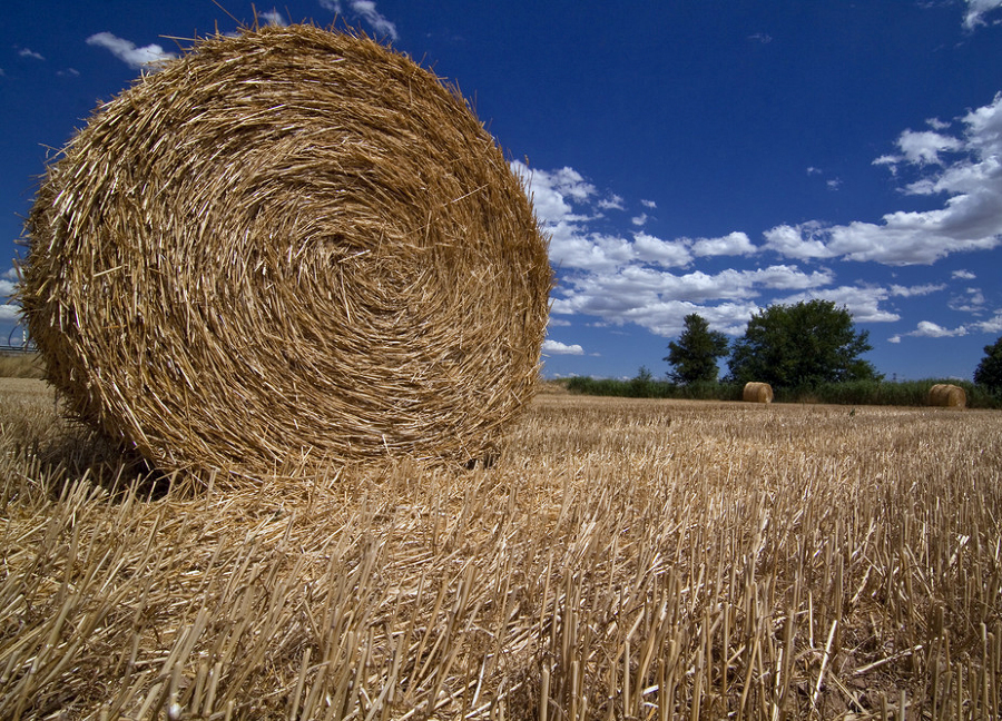 Materiales naturales: paja