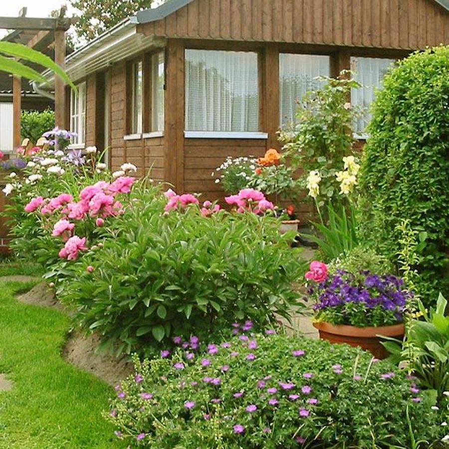 Mantenimiento jardín Valdemorillo