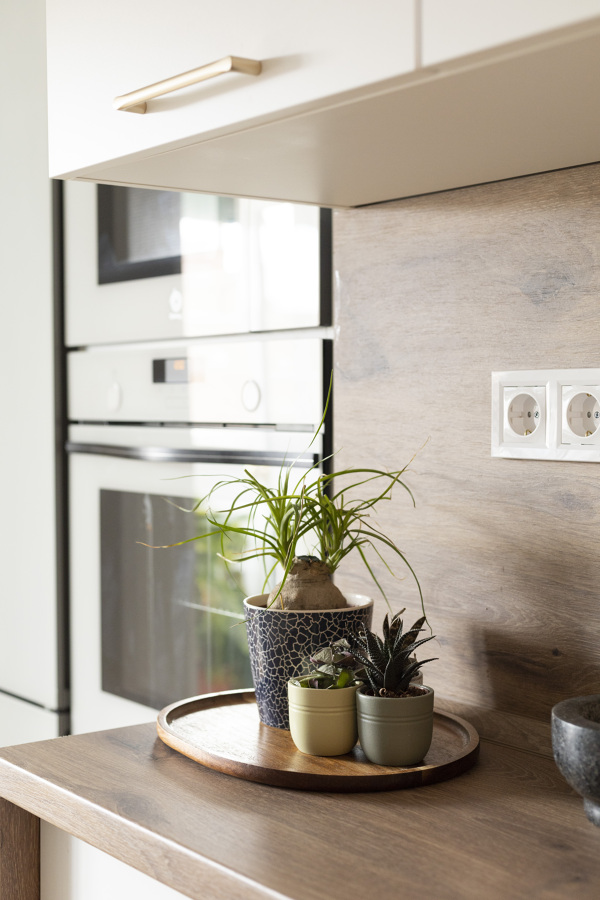 Proyecto interiorismo