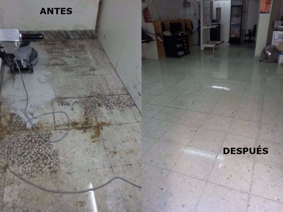 Micropulido Suelo de Terrazo