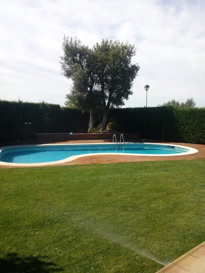 Montaje de césped natural