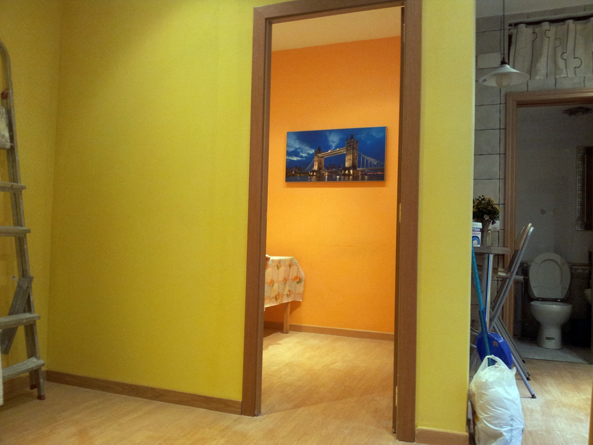 MONTAJE TABIQUE PLADUR, PUERTA Y PINTURA