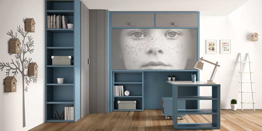 Mueble juvenil con cama abatible