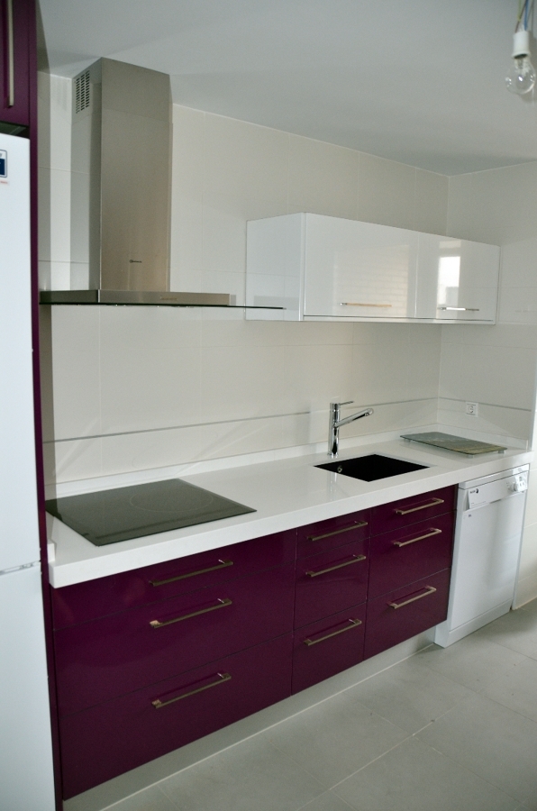 MUEBLES DE COCINA + ELECTRODOMESTICOS 1900€