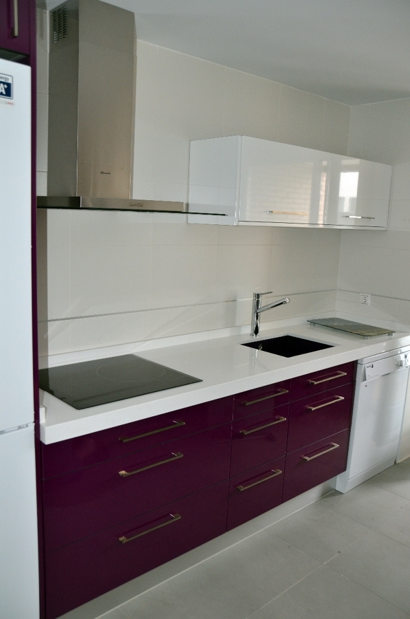 MUEBLES DE COCINA + ELECTRODOMESTICOS 1900€