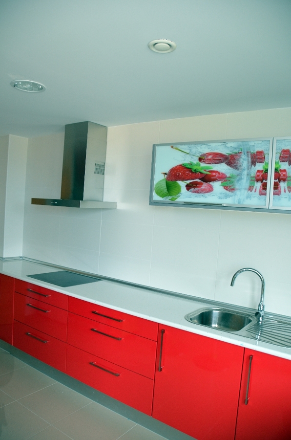 MUEBLES DE COCINA + ELECTRODOMESTICOS 1900€