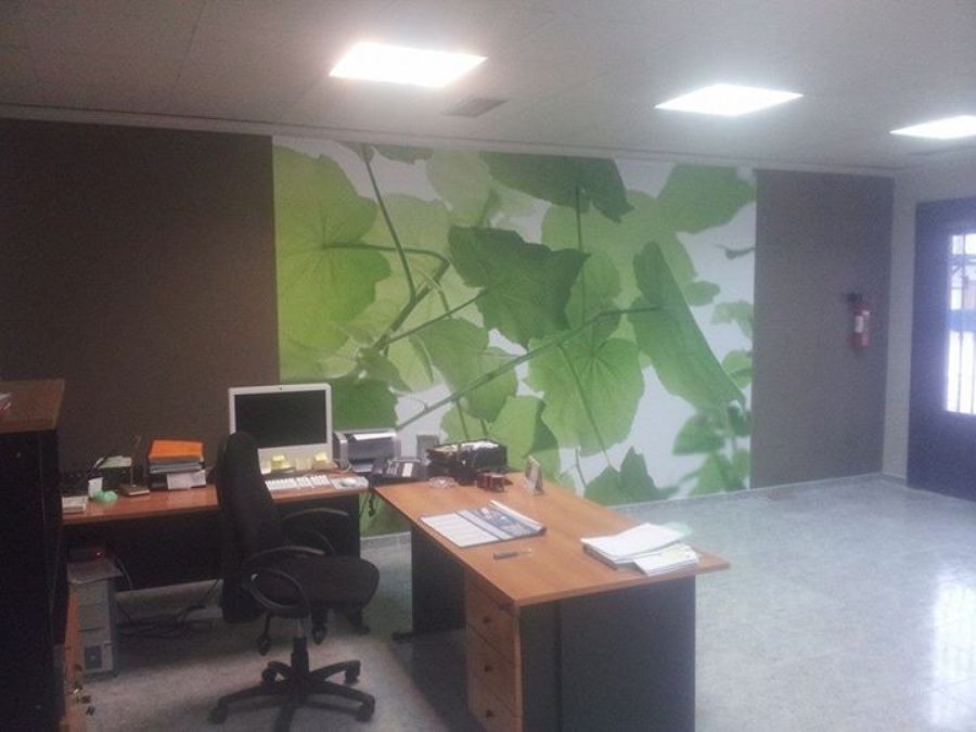 Mural decorativo de unas hojas