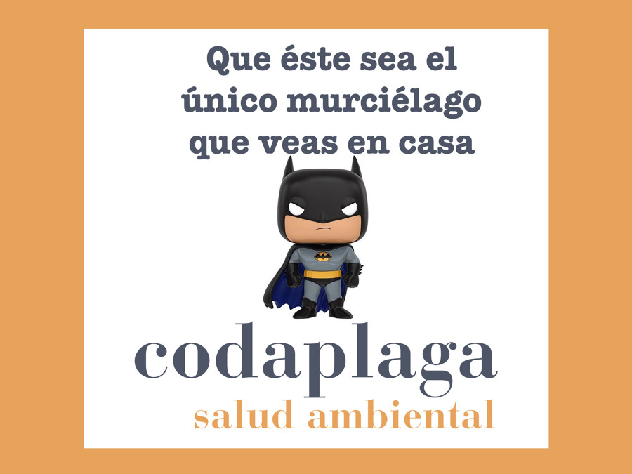 Ahuyentamos plagas de murciélagos